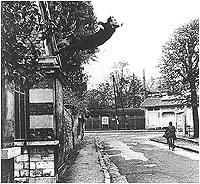 Le saut dans le vide